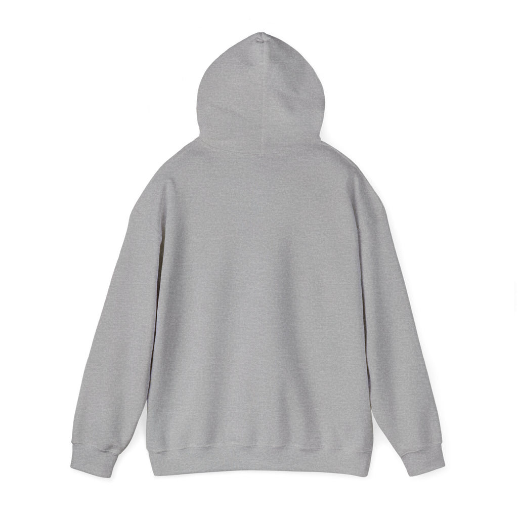 Graphic Hoodie – "Go Get Fucked, No Apologies"