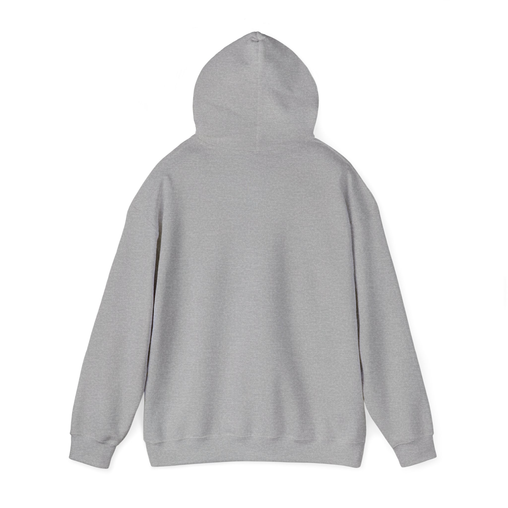 Graphic Hoodie – "Go Get Fucked, No Apologies"