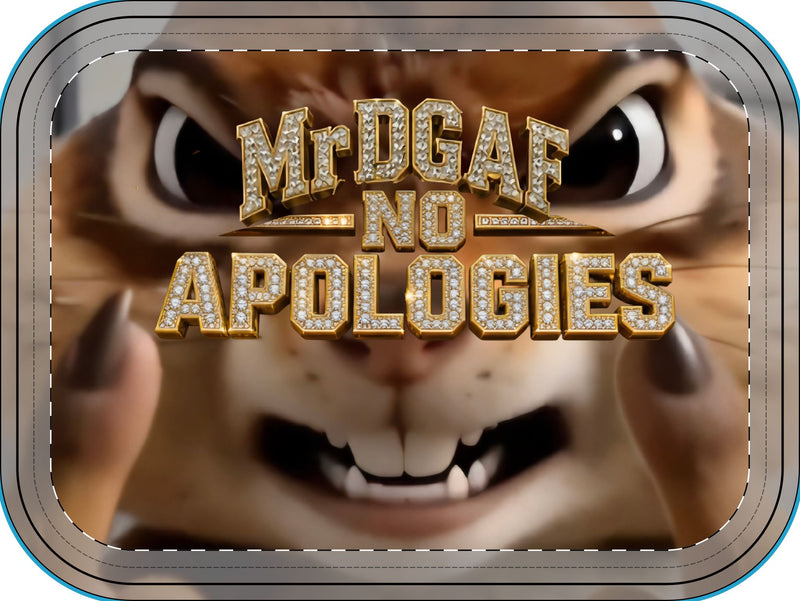 Jewelry Box – "Mr DGAF No Apologies" Bold Cat Design - mrdgaf.shop