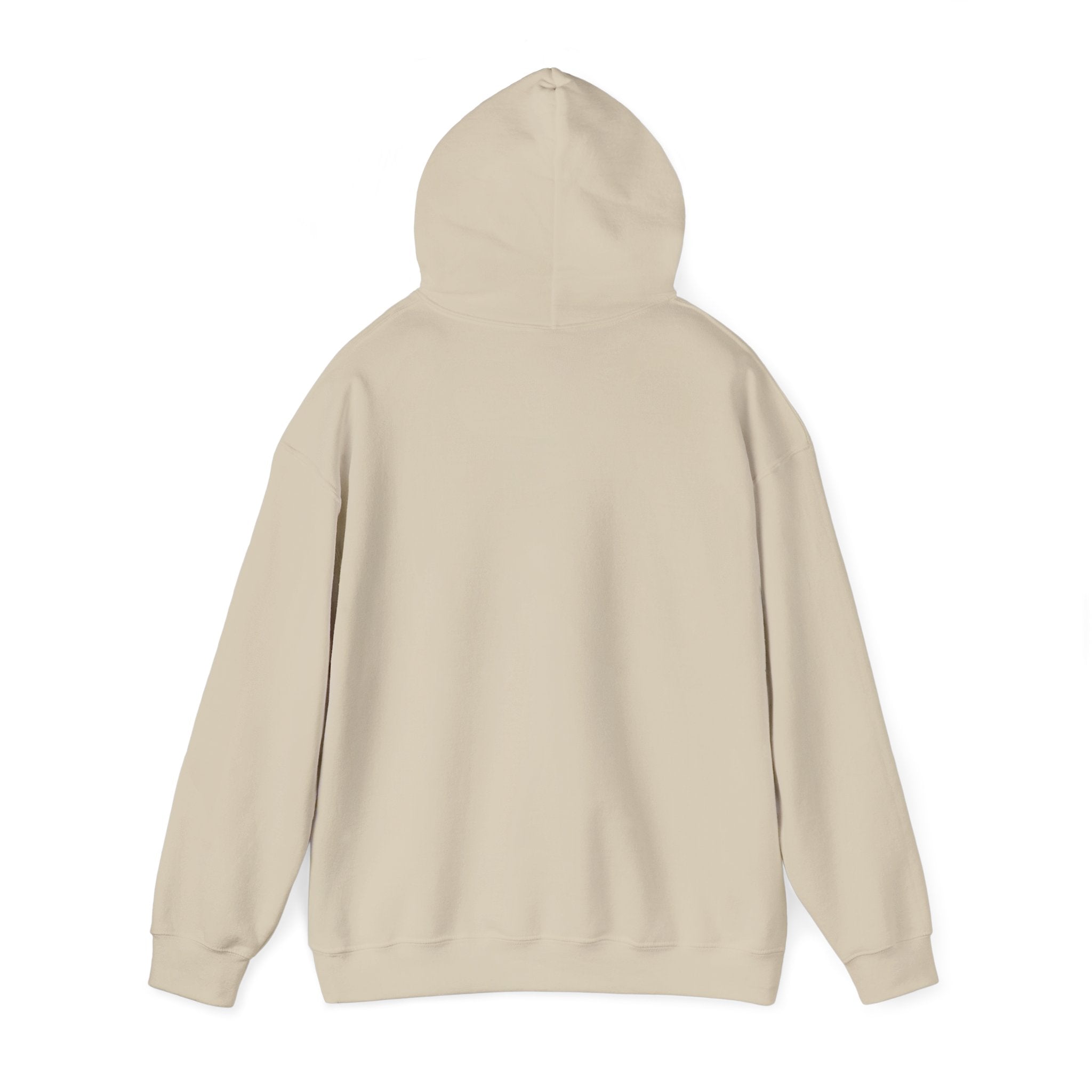 Graphic Hoodie – "Go Get Fucked, No Apologies"