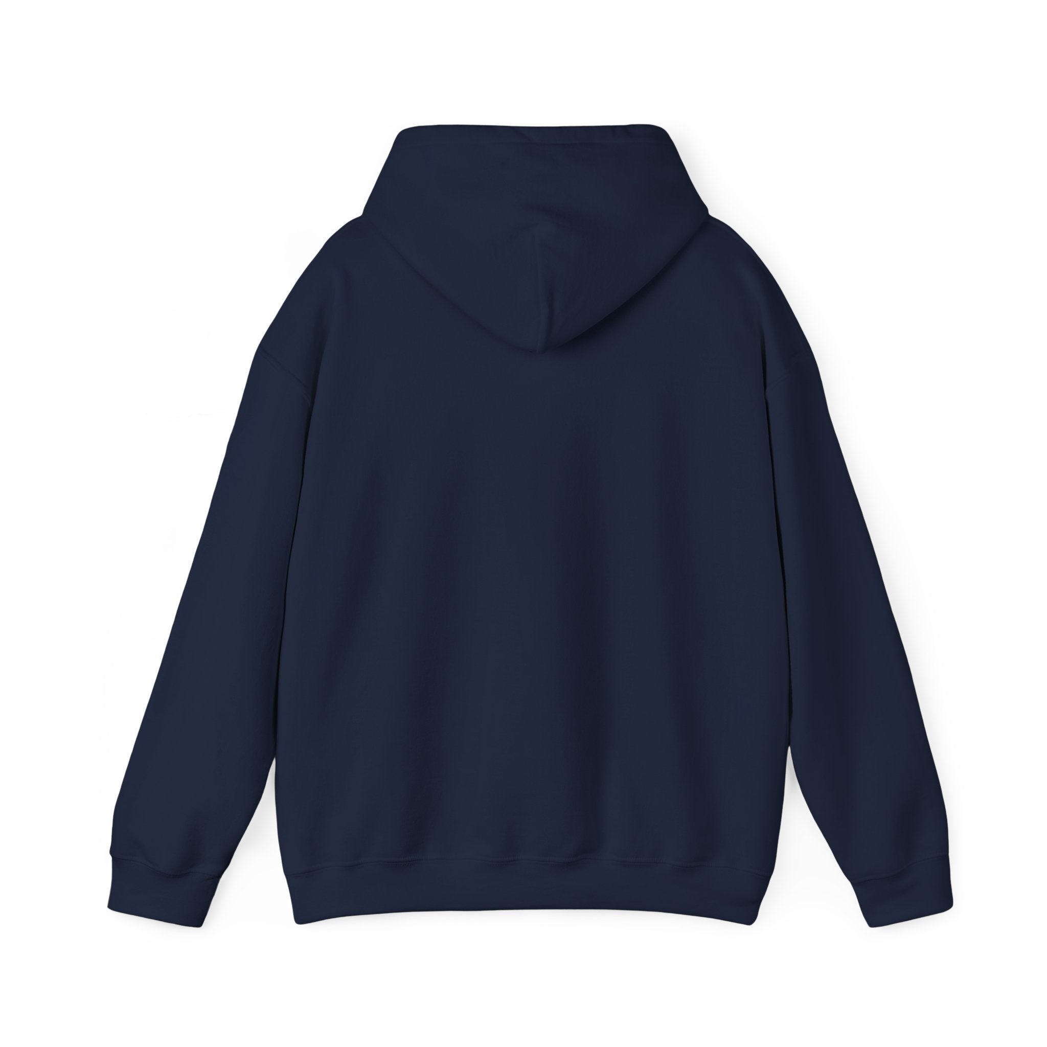 Graphic Hoodie – "Go Get Fucked, No Apologies"