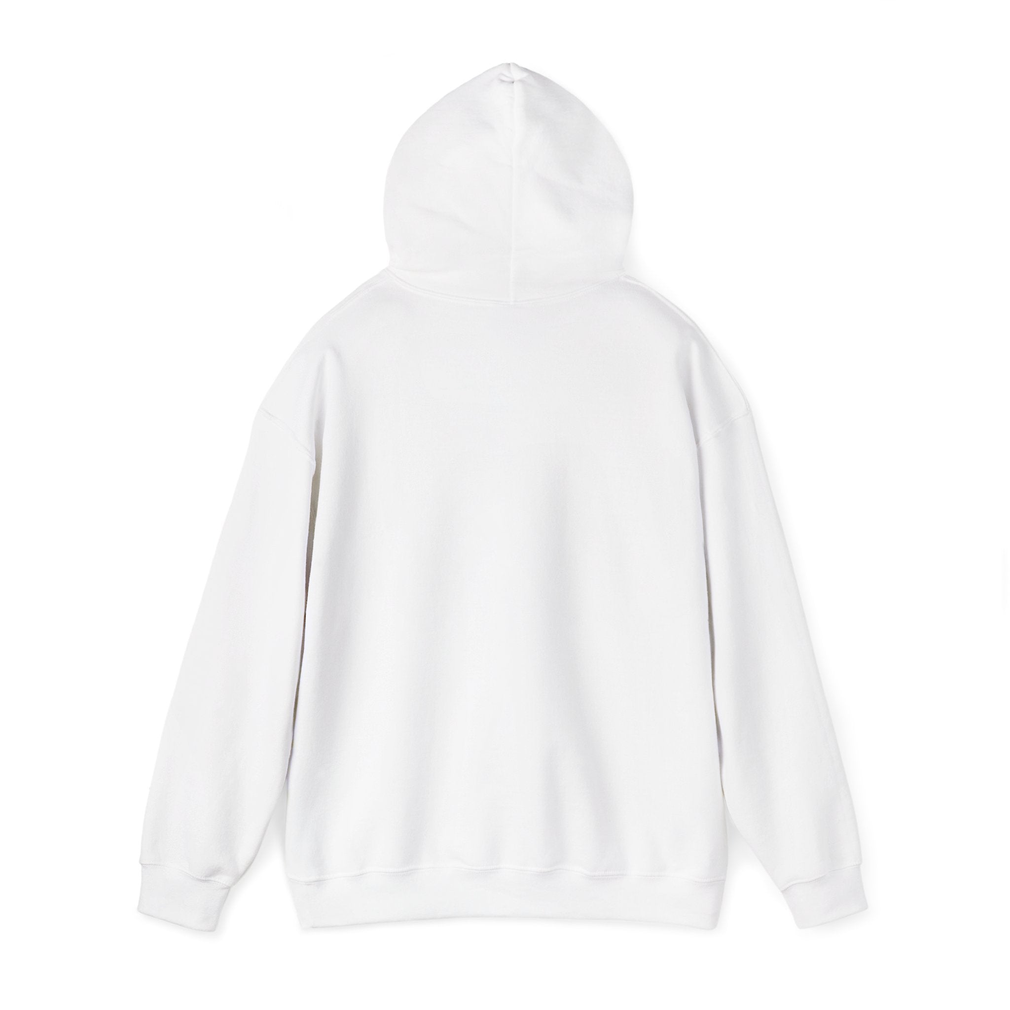 Graphic Hoodie – "Go Get Fucked, No Apologies"