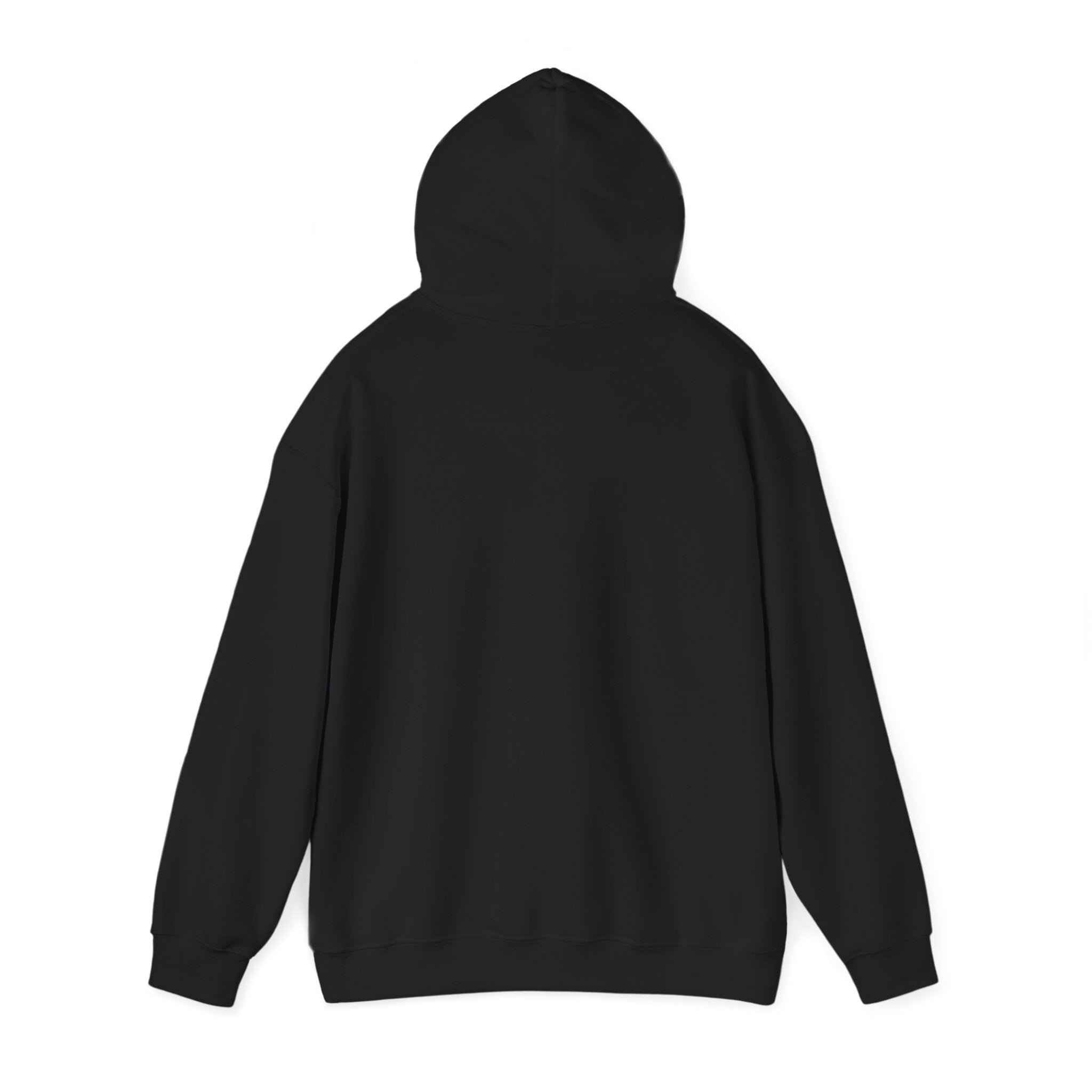 Graphic Hoodie – "Go Get Fucked, No Apologies"