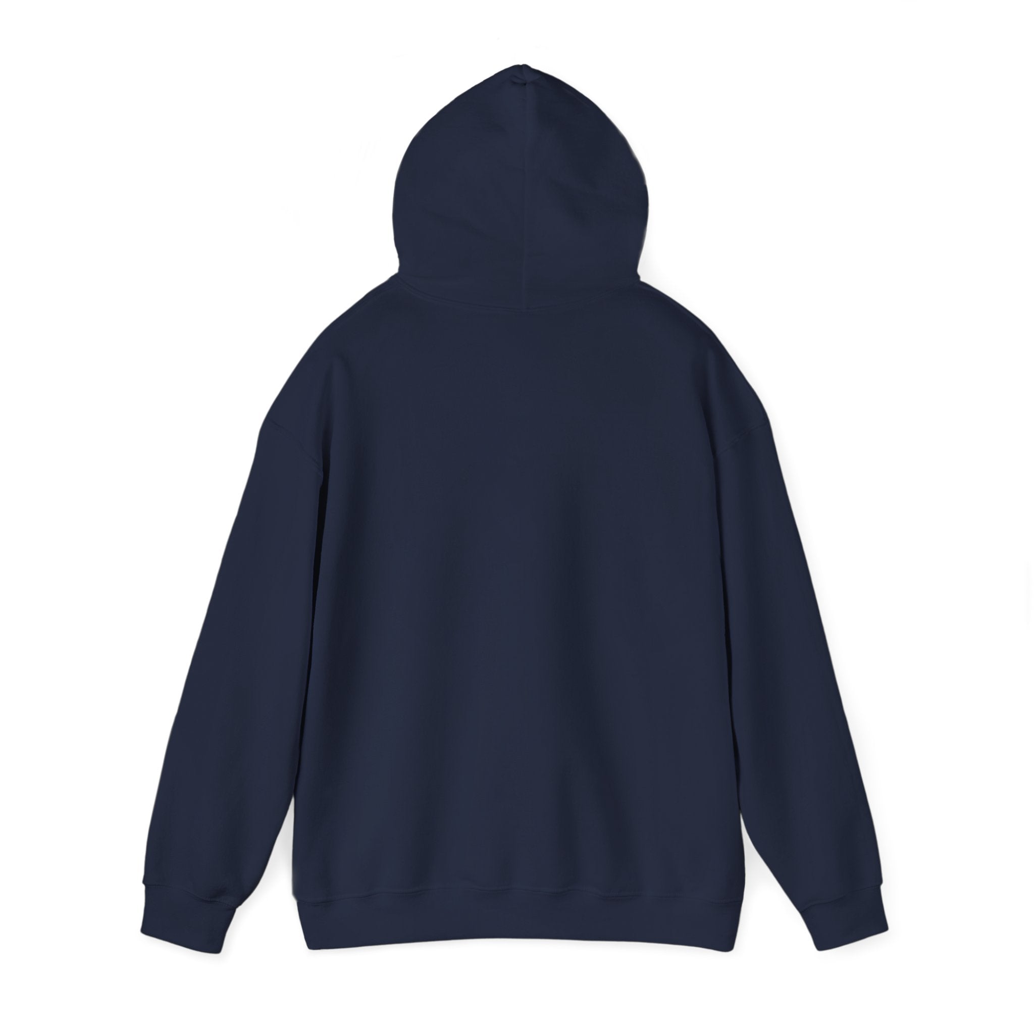 Graphic Hoodie – "Go Get Fucked, No Apologies"