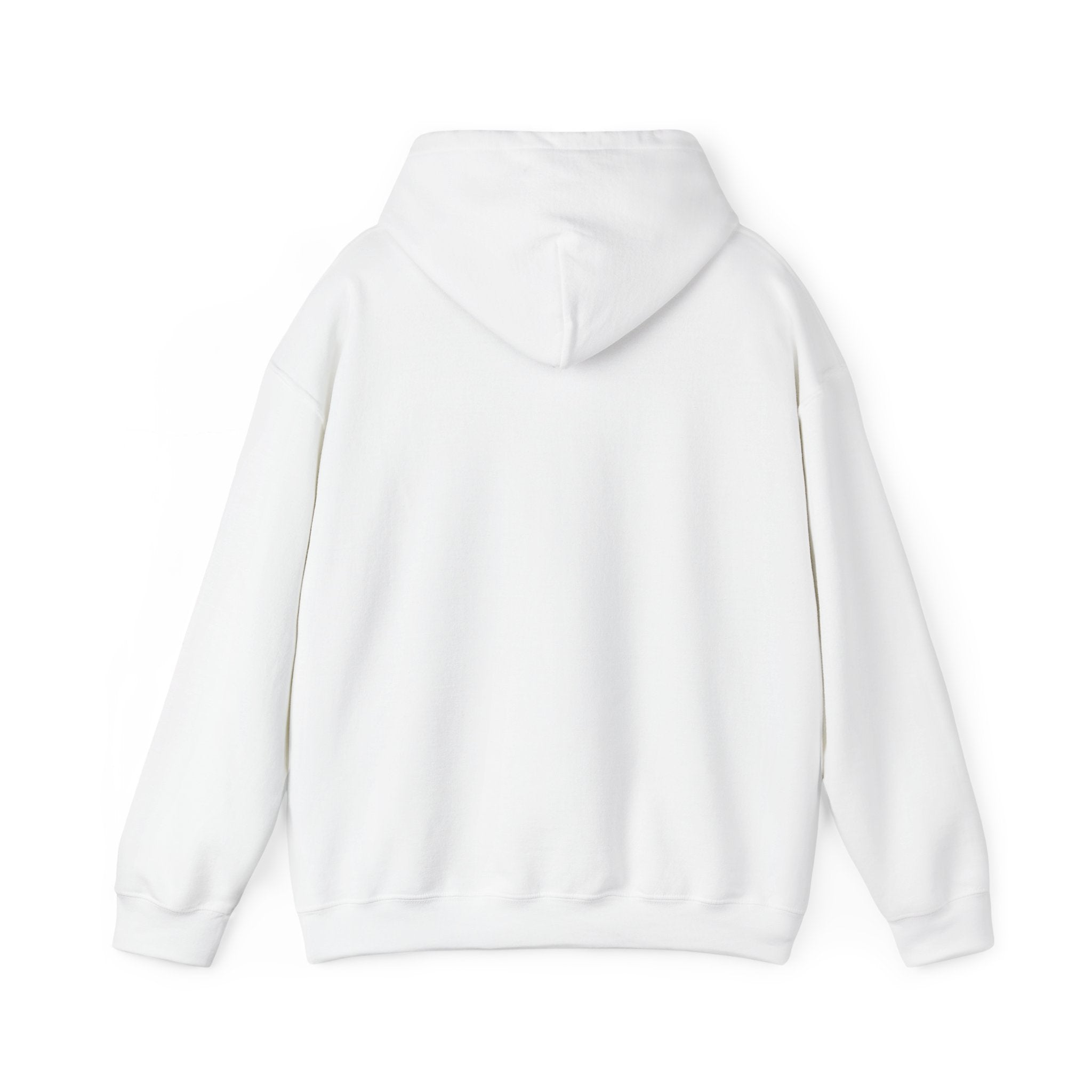 Graphic Hoodie – "Go Get Fucked, No Apologies"